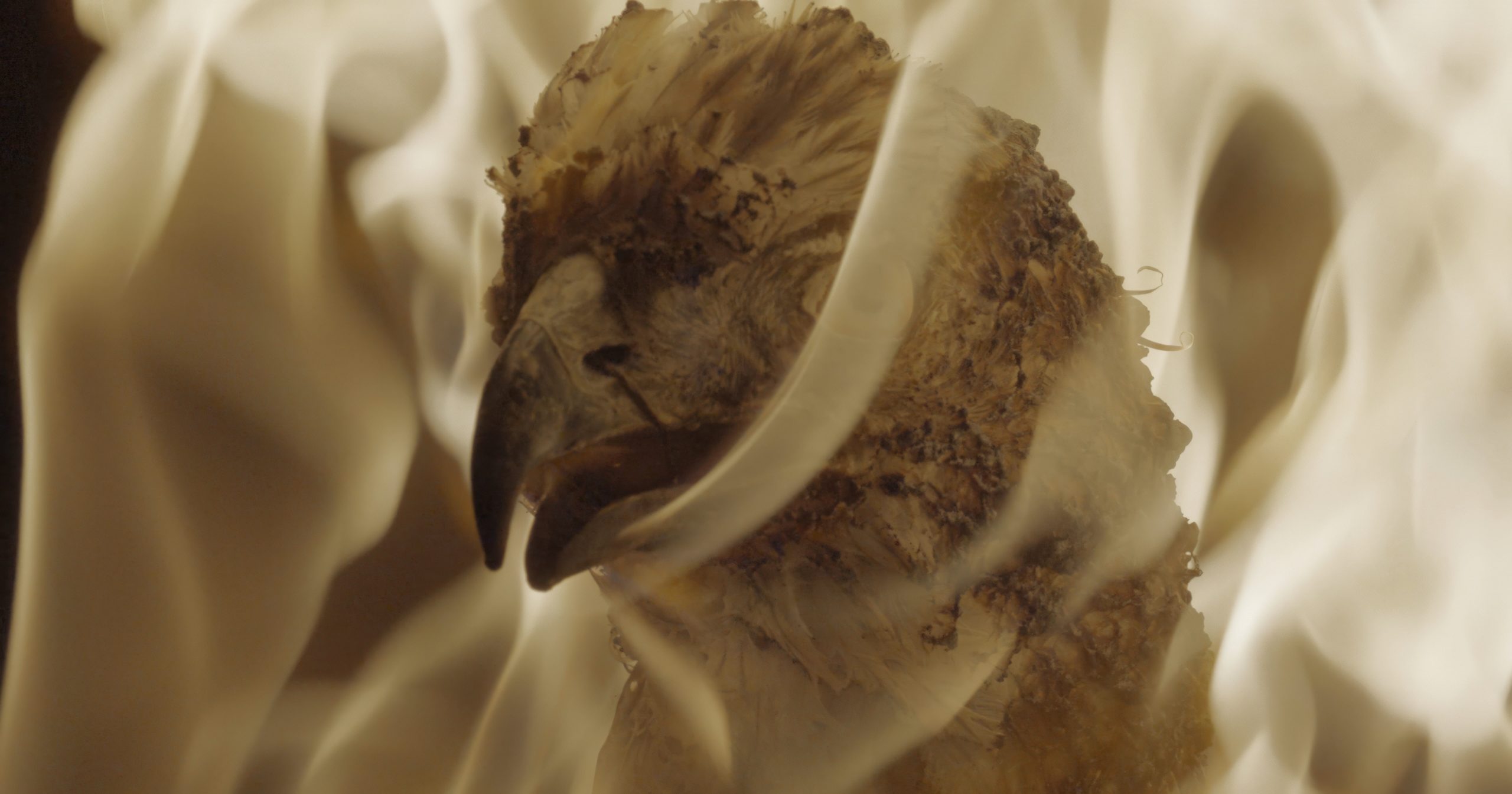 2_ A.Eradze_Ghost Carriers