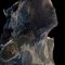 Devid Biscontini Femminile Invisibile Termoformatura film plastici 2026, 180x90x120