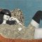 INTROSPEZIONE SEDUCENTE-cm100x72jpg