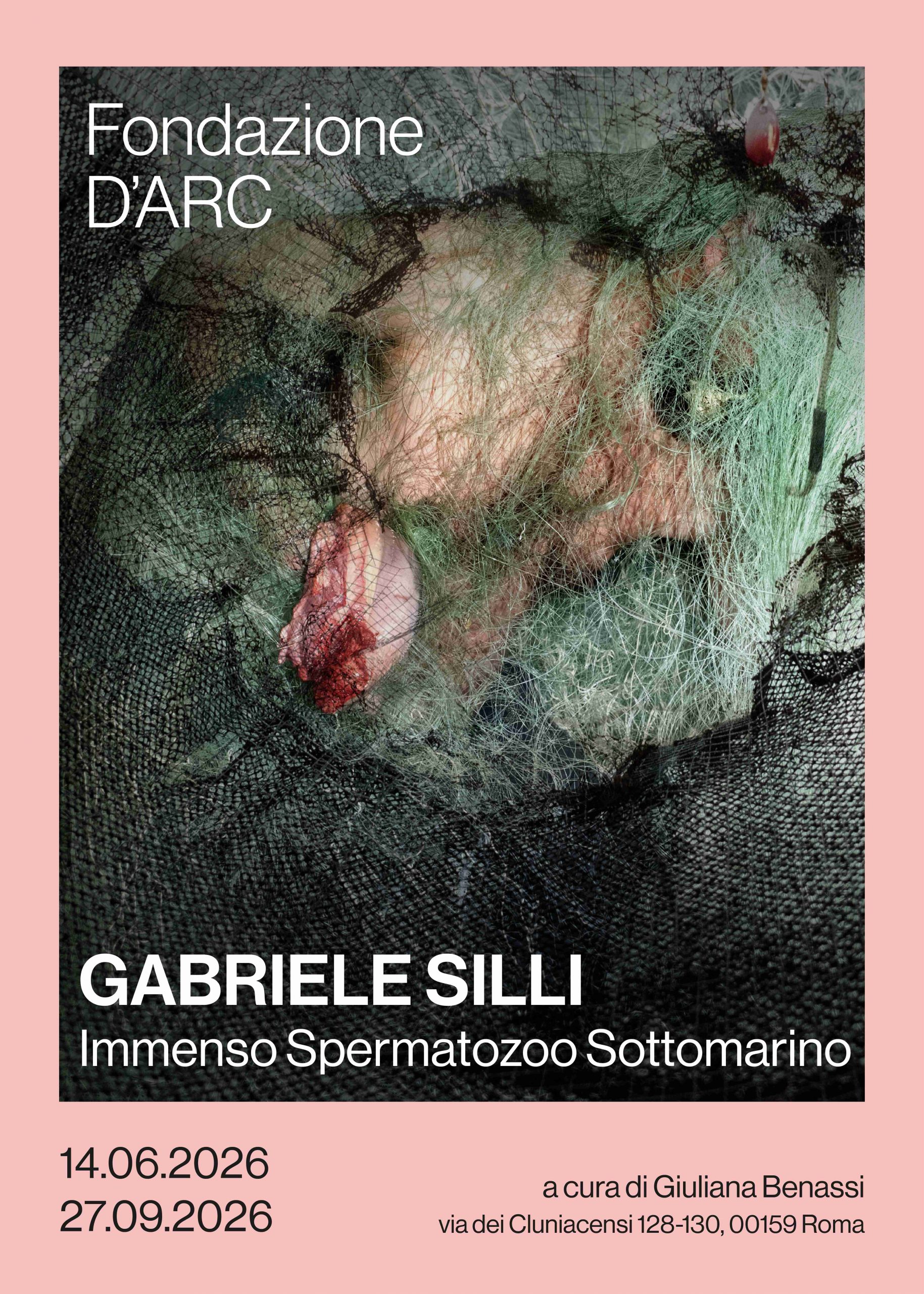 Locandina Silli_ITA_DARC_11zon