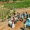 L'opening in vigna