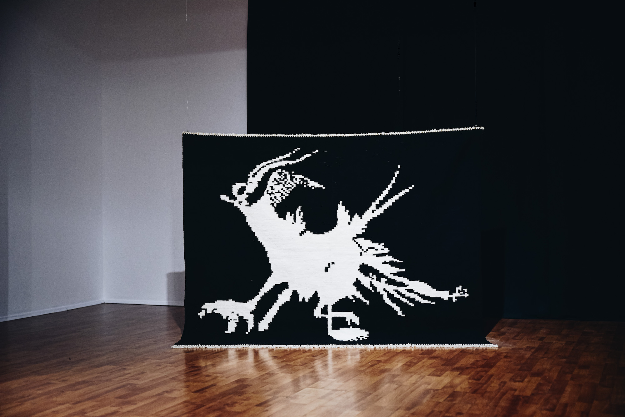 LoriLako_Nationalism, you wild beast, installation view__