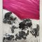 MONTAGNA M3, 2025, monoprint puntasecca e carborundum su plexiglass 20x14,5 cm.