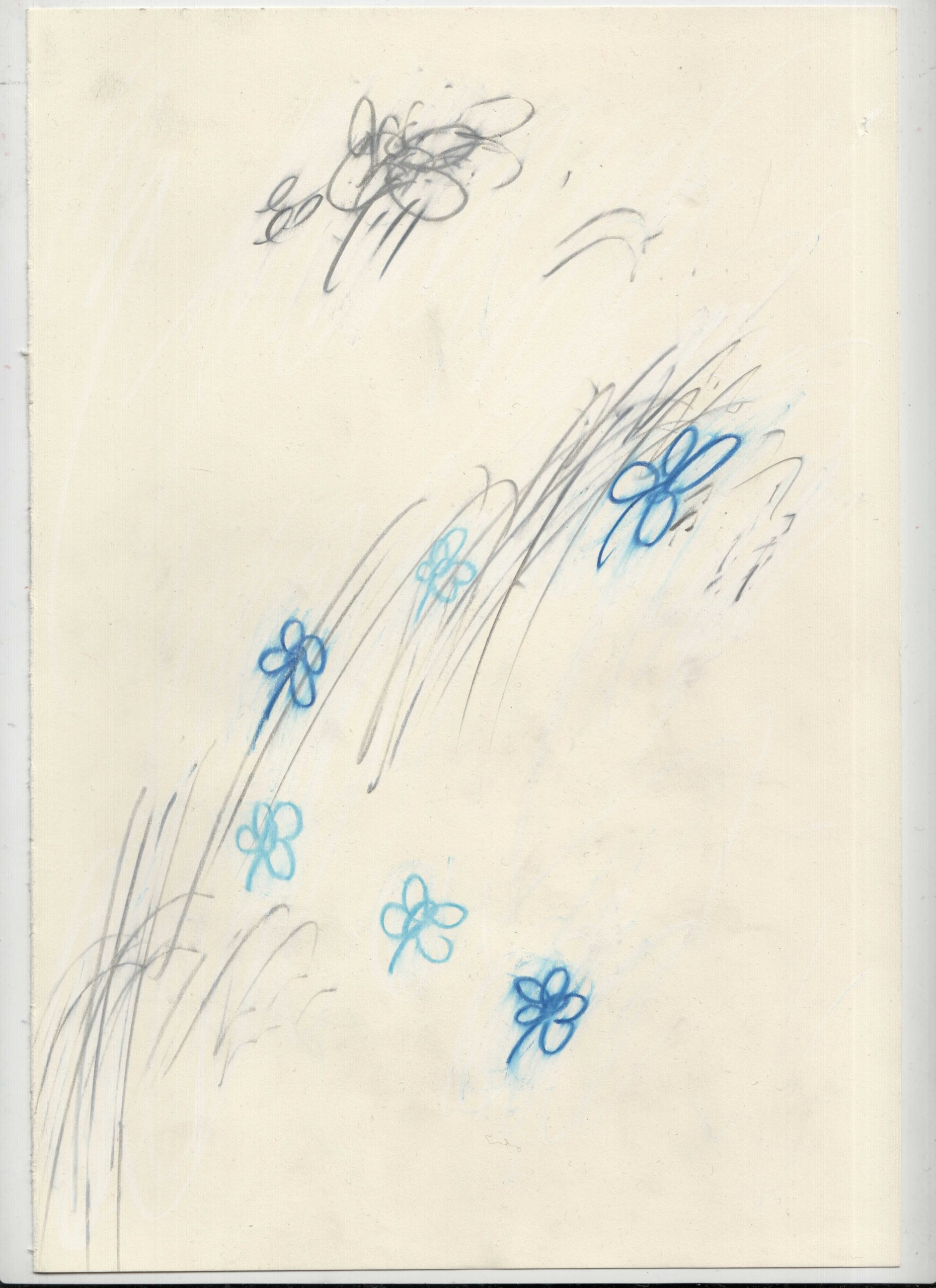 fiori-e-tramonti