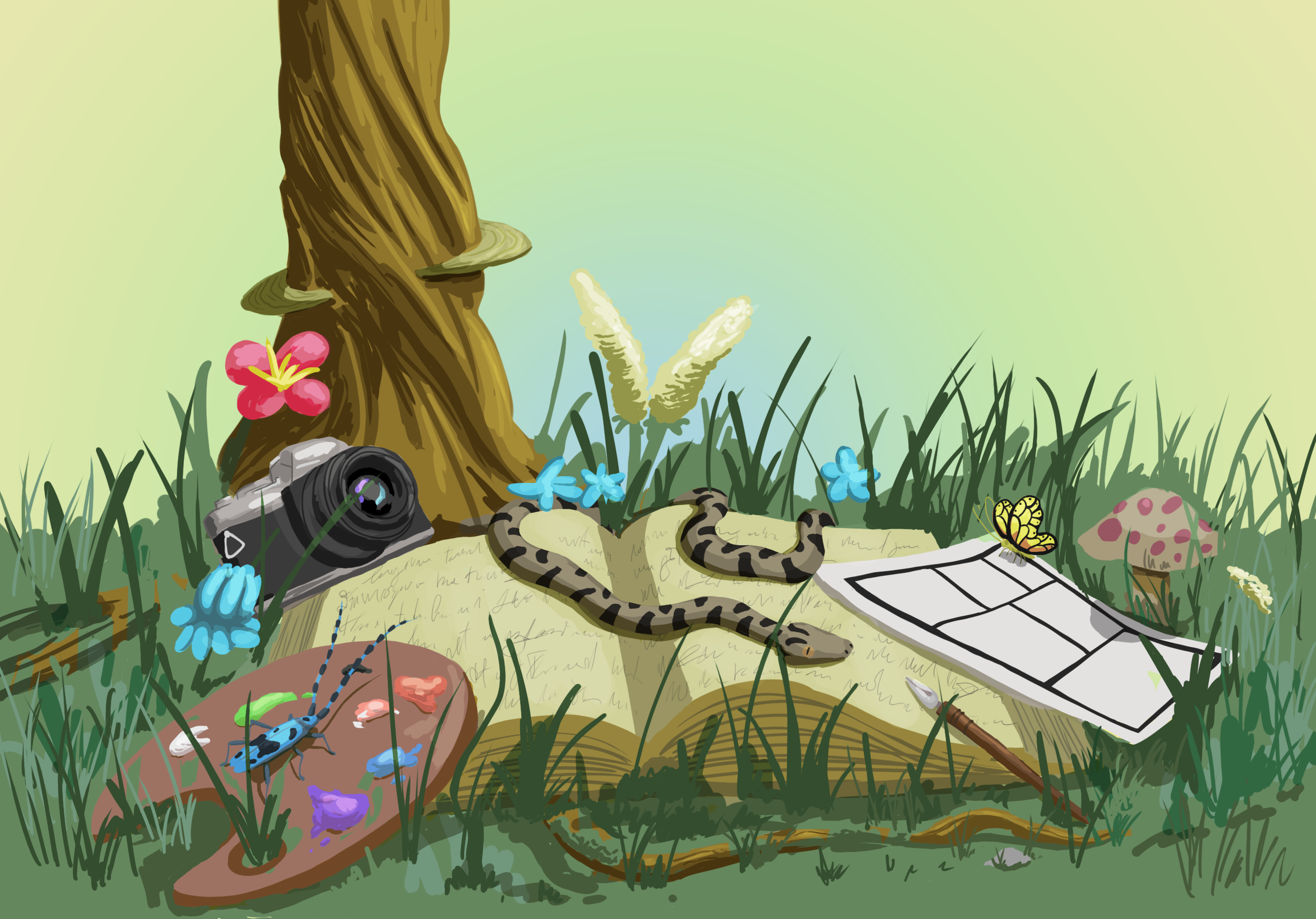 illustrazione banner concorso 2